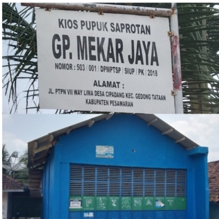 Heboh! Nama Toko Gono Terseret Isu Pupuk Subsidi Cipadang, Begini Klarifikasinya