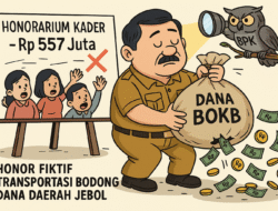 Investigasi BPK: Dugaan Kelebihan Bayar dan Honorarium Fiktif di Dinas PPKB Lampung Tengah Capai Ratusan Juta