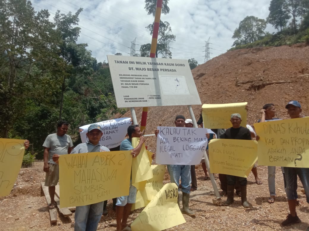 Illegal Logging Marak, Warga Tanjung Balik Tagih Tindakan Kapolri hingga Gubernur