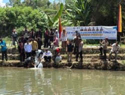 Bupati Lepaskan Bibit Ikan, Pokir Fraksi Golkar di Situjuah Limo Nagari