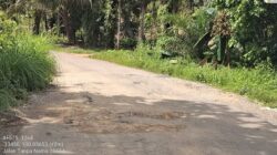 Jalan Alternatif ke Rokan Hulu di Kampar Rusak Parah, Warga Minta Pemerintah Segera Bertindak