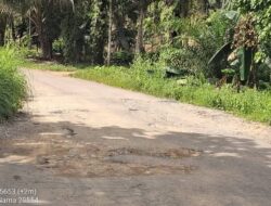 Jalan Alternatif ke Rokan Hulu di Kampar Rusak Parah, Warga Minta Pemerintah Segera Bertindak Jalan Alternatif ke Rokan Hulu di Kampar Rusak Parah, Warga Minta Pemerintah Segera Bertindak