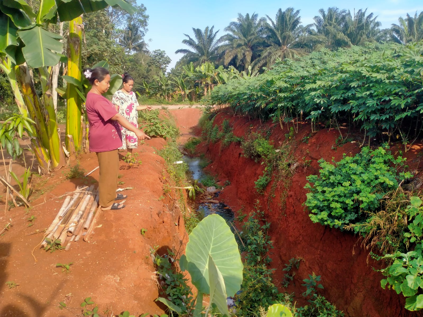 Galian Tanah di Perbatasan Pemukiman dan Kebun Sawit Dikeluhkan Warga Halangan Ratu