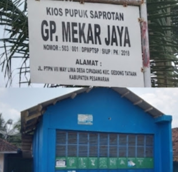 Dugaan Penyimpangan Alat Pertanian dan Pupuk Oleh Ketua Gapoktan Desa Cipadang Semakin Terkuak, Mantan Kades Angkat Bicara