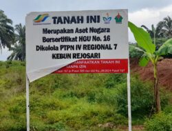 Masyarakat Adat Halangan Ratu Nilai Pemasangan Plang PTPN I Tidak Tepat Lokasi Masyarakat Adat Halangan Ratu Nilai Pemasangan Plang PTPN I Tidak Tepat Lokasi