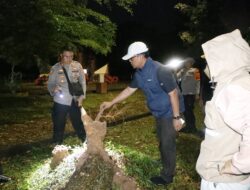 Bupati Ardito Tinjau Lokasi Puting Beliung di Gunung Sugih, Pastikan Penanganan Cepat bagi Warga Terdampak