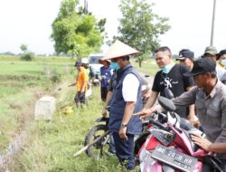 Bupati Ardito Pimpin Langsung Gerdal Tikus di Trimurjo