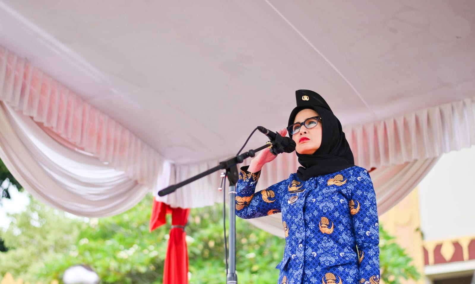 Hari Pahlawan 2025, Bupati Pesawaran Ajak Teladani Nilai Perjuangan dan Pengabdian Pahlawan Bangsa