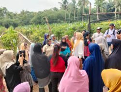 Jembatan Penghubung Lamsel–Pesawaran Mulai Dikerjakan, Dorong Pertumbuhan Ekonomi Dua Kabupaten
