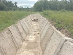 Pembangunan Irigasi P3A di Desa Sindang Garut Diduga Tidak Sesuai Spek