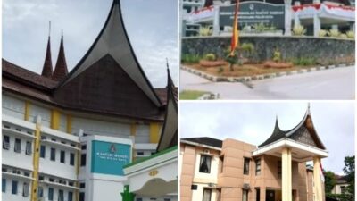 Kunjungan ke India Disorot, DPRD, Bupati, dan Dinas Pertanian 50 Kota Memilih Bungkam: Ada Apa?